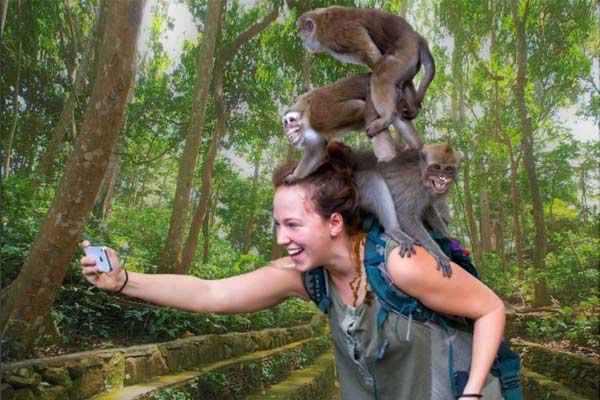 Ubud Monkey Forest-Bali Swing Tour and Ubud Tour