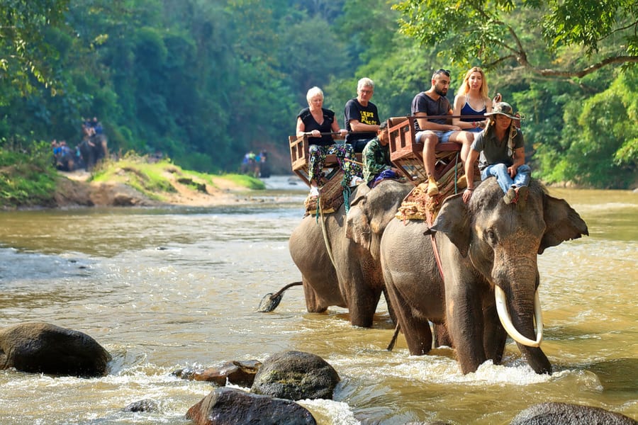 bali trip-elephant ride